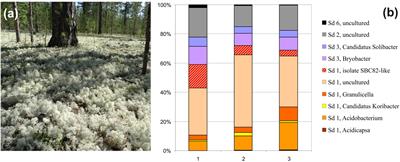 Hydrolytic Capabilities as a Key to Environmental Success: Chitinolytic and Cellulolytic Acidobacteria From Acidic Sub-arctic Soils and Boreal Peatlands